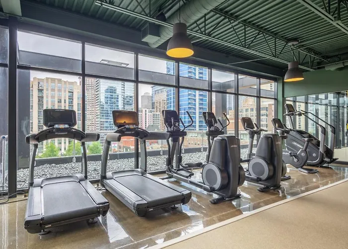 Apartamento River North 1br W Gym Lounge Roof Nr Riverwalk Chi-900